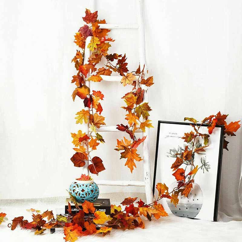 Hangende Herfstplanten