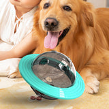 Snoepjes Houder™ | Voor Gelukkige en Gezonde Honden!