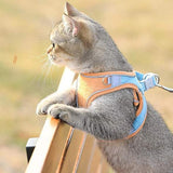 KATTEN HARNAS & RIEM