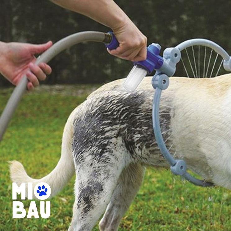 Honden Cirkel Douche