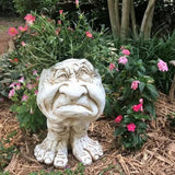 Grappig Gezicht Bloempot