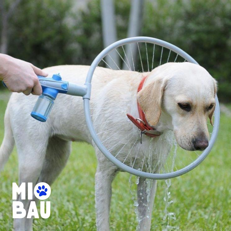 Honden Cirkel Douche