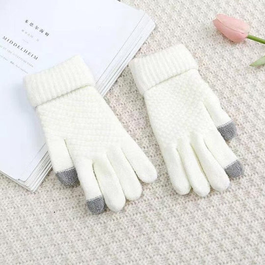 Thermo Handschoenen (voor Touch-Screens)