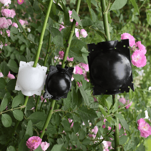 Groei-Boost Plantenvermeerderaar (5 Stuks)