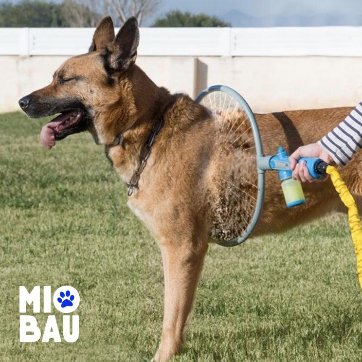 Honden Cirkel Douche