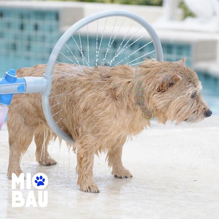 Honden Cirkel Douche