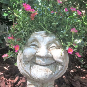 Grappig Gezicht Bloempot