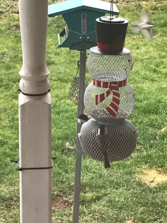 Sneeuwpop Vogelvoeder