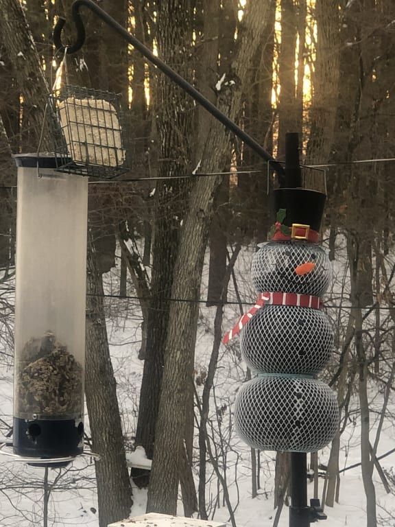 Sneeuwpop Vogelvoeder