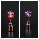 LED Oorbellen