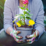 Planten Bescherming (12 Stuks!)