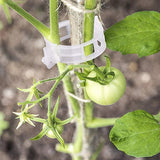 Professionele Plantenclips (50 of 100 Stuks)