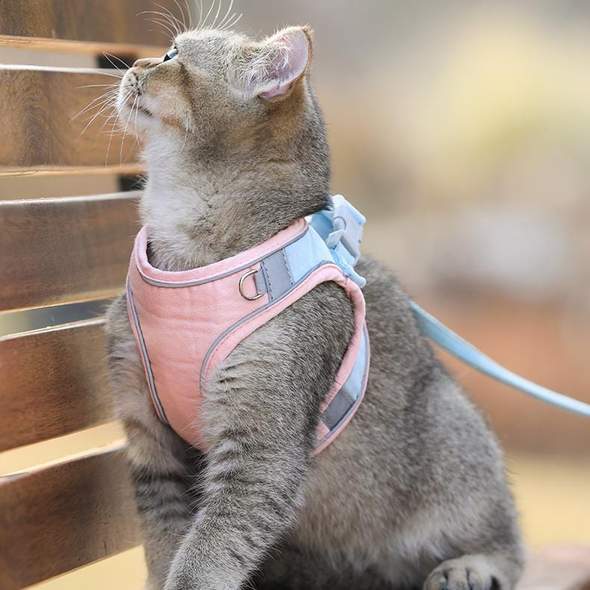 KATTEN HARNAS & RIEM