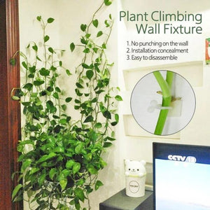 Planten Klimwand “DIY” 10 Stuks (Tijdelijk 50% Korting)