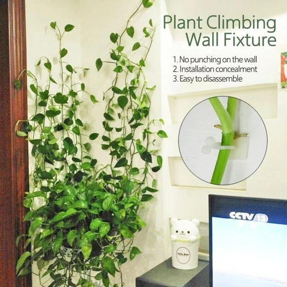 Planten Klimwand “DIY” 10 Stuks (Tijdelijk 50% Korting)