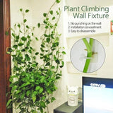 Planten Klimwand “DIY” 10 Stuks (Tijdelijk 50% Korting)