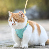 KATTEN HARNAS & RIEM