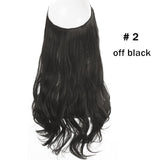 'Beautify™️' Quick Hair Extensions