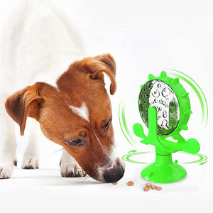 Snoepjes Houder™ | Voor een gezonder huisdier!