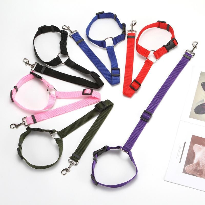 Honden Autogordel "Dog Safety"