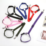 Honden Autogordel "Dog Safety"
