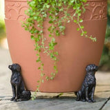 Plantenpot Houders™ - Voor Gezondere Planten!