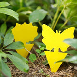 Planten Bescherming (12 Stuks!)