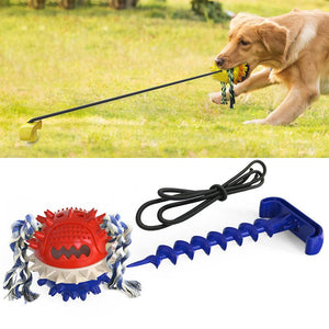 Outdoor Honden Speeltje