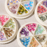 Nail Art Vlinder Miniatuurset (30 Stuks!)