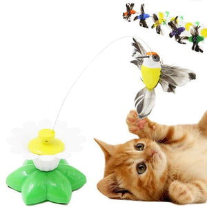Interactieve Vogelspeelgoed voor Katten