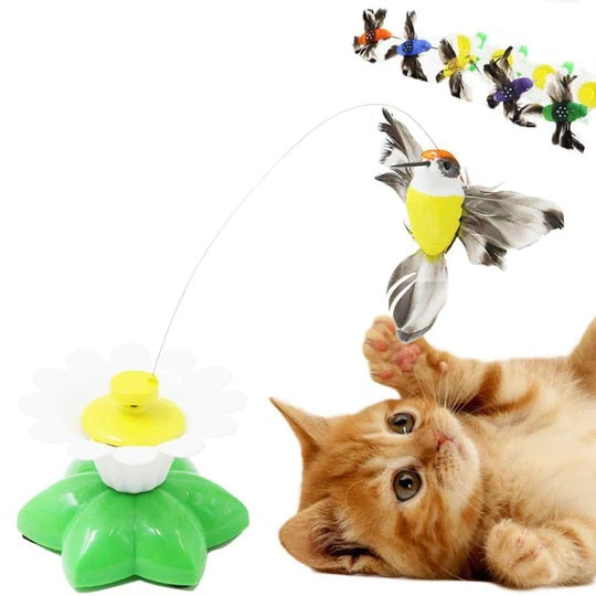 Interactieve Vogelspeelgoed voor Katten