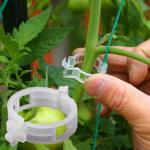 Professionele Plantenclips (50 of 100 Stuks)