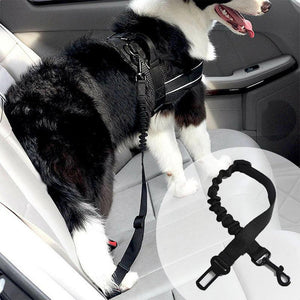 Honden Autogordel "Dog Deluxe"