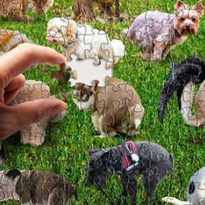 Hilarische Poepende Honden Puzzel (1000 Stukjes)