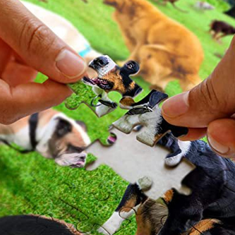 Hilarische Poepende Honden Puzzel (1000 Stukjes)