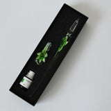 Kalligrafie Pen (met Inkt en Houder!)