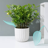 Grappige Bladeren Watergevers (3 Stuks)