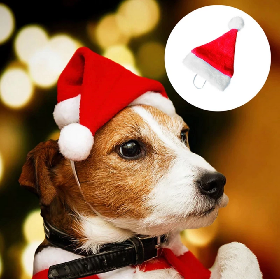 Schattige Honden Kerstmuts