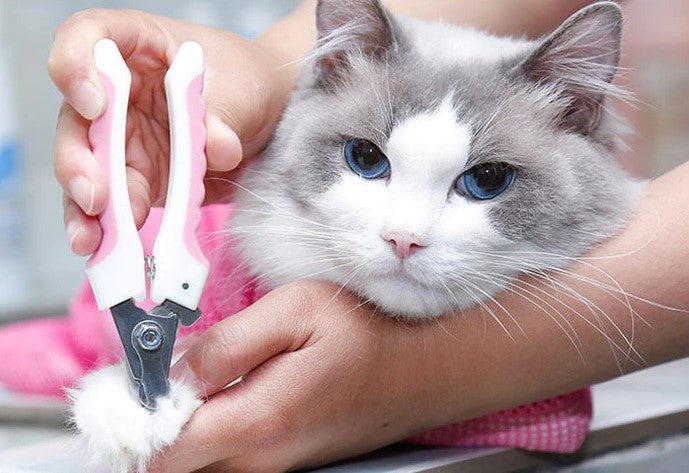 Miraru Kattenzak™ - Perfect om je kat in alle situaties rustig te houden!
