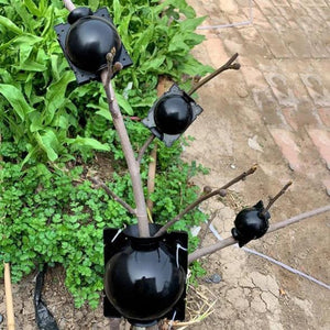 Planten-Stek Starter 'BioSphere Deluxe' (5 Stuks)