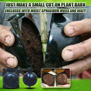 Planten-Stek Starter 'BioSphere Deluxe' (5 Stuks)