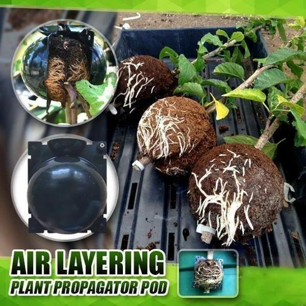 Planten-Stek Starter 'BioSphere Deluxe' (5 Stuks)