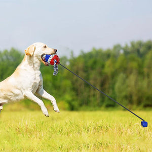 Outdoor Honden Speeltje