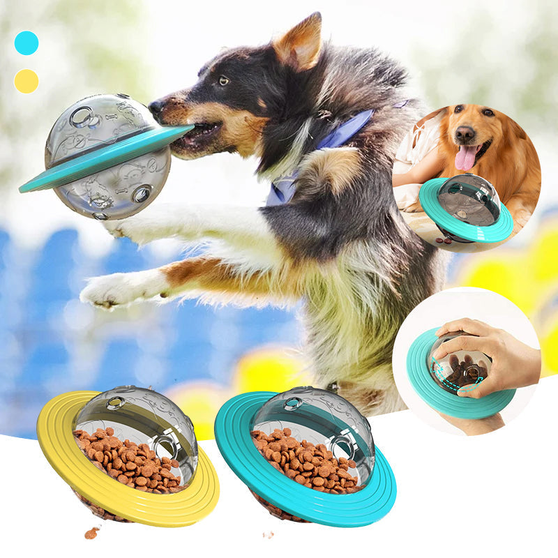 Snoepjes Houder™ | Voor Gelukkige en Gezonde Honden!