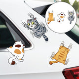 Schattige (Auto) Katten Stickers