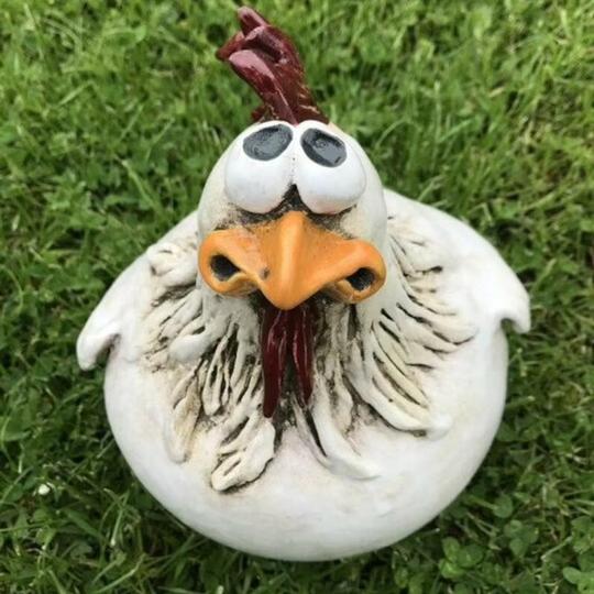 Grappige Kip Decoratie