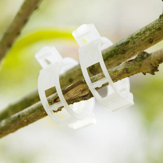 Professionele Plantenclips (50 of 100 Stuks)
