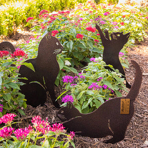 Tuin Katten Decoratie Beeldjes