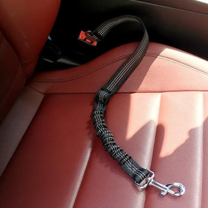 Honden Autogordel 'StaySafe'