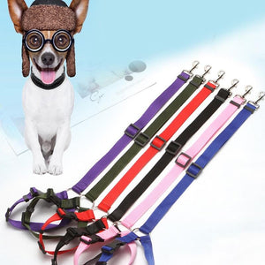 Honden Autogordel "Dog Safety"